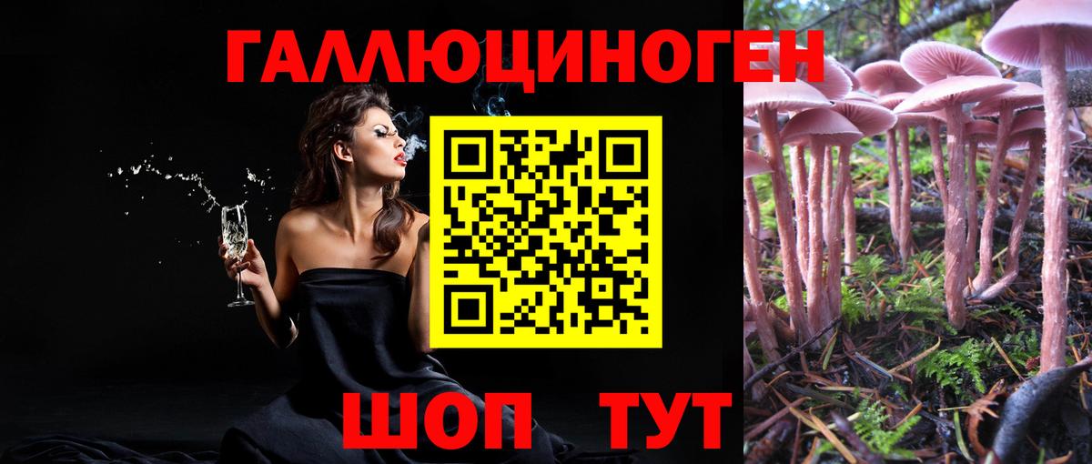 Псилоцибиновые грибы MAGIC MUSHROOMS  магазин  наркотиков  Будённовск  Вход с VPN 