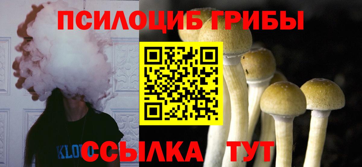 Галлюциногенные грибы мицелий Будённовск